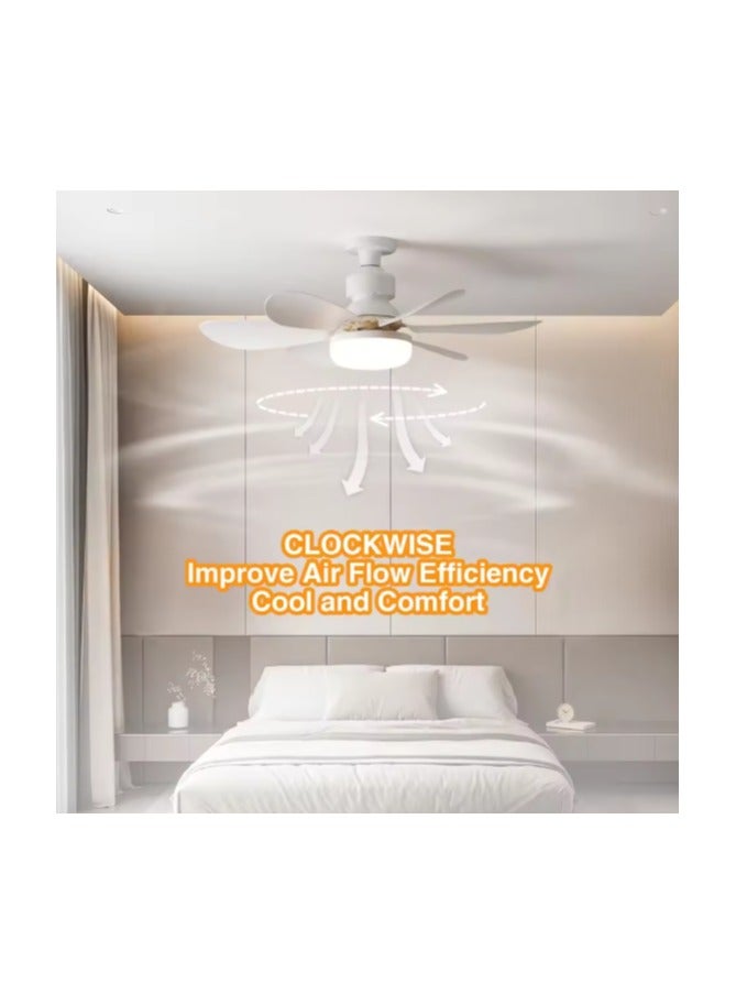 MODI Small Ceiling Fan Light with Remote – 30W LED Dimmable Fan Lamp | 3 Color Modes (3000K/4000K/6500K), Modern Low Profile Ceiling Light for Bedroom, Kitchen, Office – Quiet Motor, White
