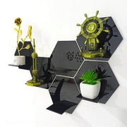 Acrylic Hexagon Wall Shelves