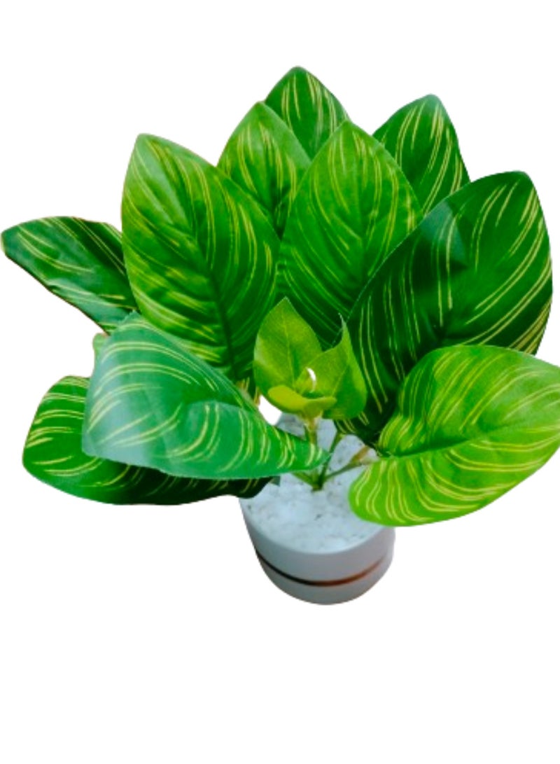 Indoor Calathea Ornata Sanderiana Artifical plant  in Pot