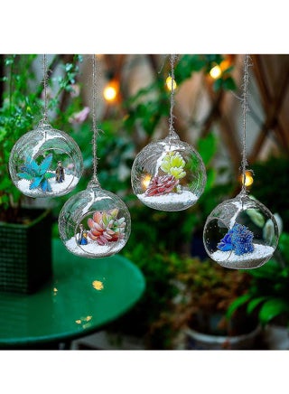 6 Pcs Hanging Glass Globes Planter Big Opening Air Fern Plants Vase Hanger Multicolour 6x10cm