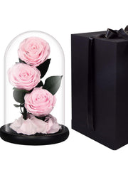 Luxury Preserved Pink Roses in Glass Dome – Real Eternal Flowers with Gift Box for Valentine’s Day, Birthday & Special Occasions