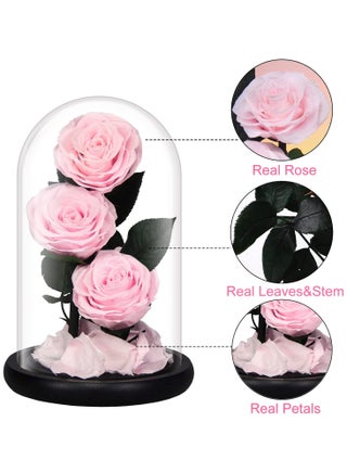 Luxury Preserved Pink Roses in Glass Dome – Real Eternal Flowers with Gift Box for Valentine’s Day, Birthday & Special Occasions