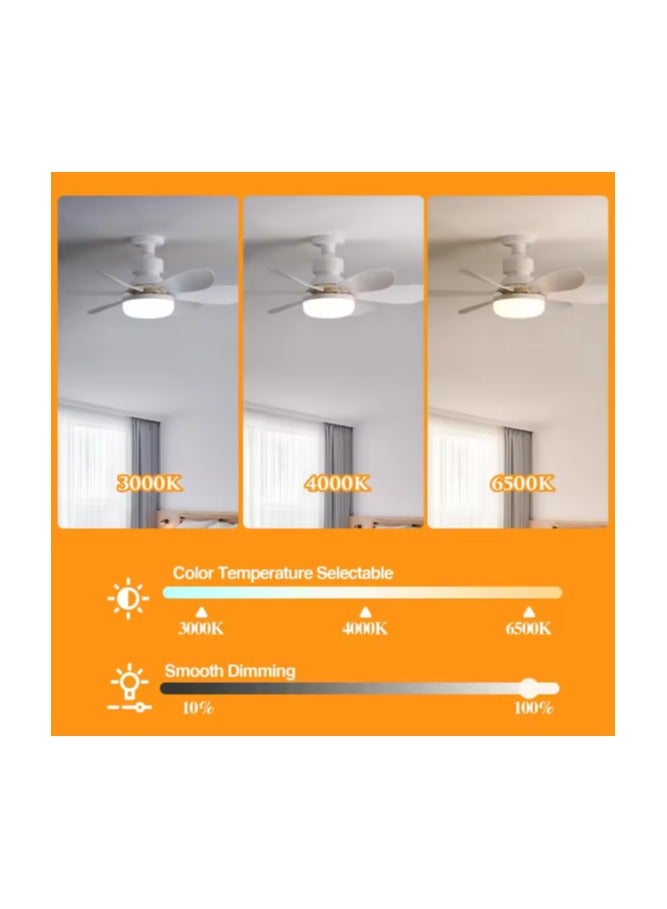 MODI Small Ceiling Fan Light with Remote – 30W LED Dimmable Fan Lamp | 3 Color Modes (3000K/4000K/6500K), Modern Low Profile Ceiling Light for Bedroom, Kitchen, Office – Quiet Motor, White