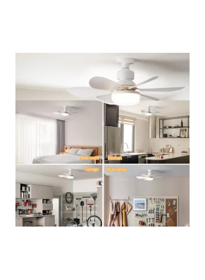 MODI Small Ceiling Fan Light with Remote – 30W LED Dimmable Fan Lamp | 3 Color Modes (3000K/4000K/6500K), Modern Low Profile Ceiling Light for Bedroom, Kitchen, Office – Quiet Motor, White