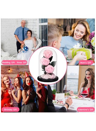 Luxury Preserved Pink Roses in Glass Dome – Real Eternal Flowers with Gift Box for Valentine’s Day, Birthday & Special Occasions