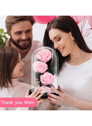 Luxury Preserved Pink Roses in Glass Dome – Real Eternal Flowers with Gift Box for Valentine’s Day, Birthday & Special Occasions