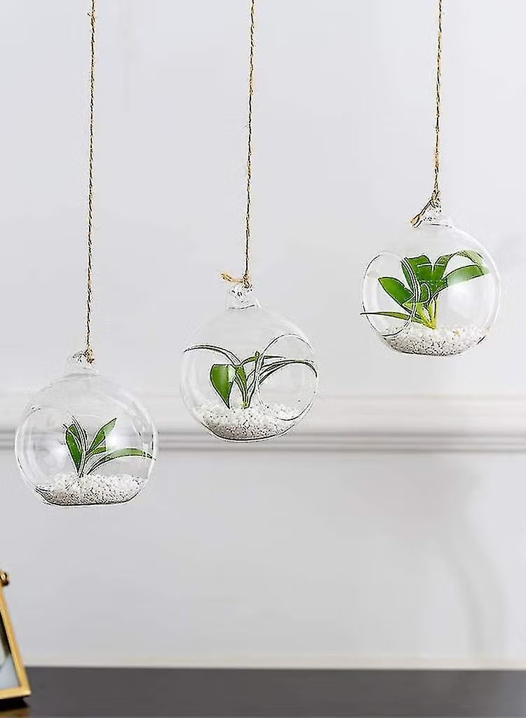 6 Pcs Hanging Glass Globes Planter Big Opening Air Fern Plants Vase Hanger Multicolour 6x10cm