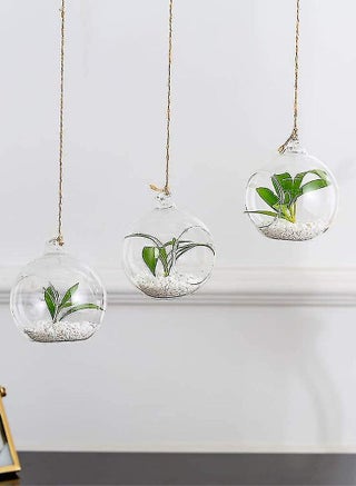 6 Pcs Hanging Glass Globes Planter Big Opening Air Fern Plants Vase Hanger Multicolour 6x10cm