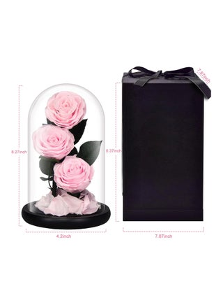 Luxury Preserved Pink Roses in Glass Dome – Real Eternal Flowers with Gift Box for Valentine’s Day, Birthday & Special Occasions