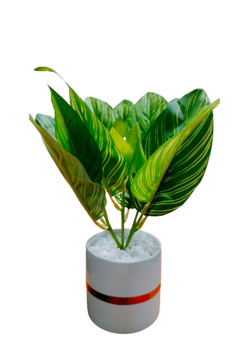 Indoor Calathea Ornata Sanderiana Artifical plant  in Pot
