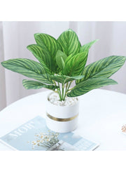 Indoor Calathea Ornata Sanderiana Artifical plant  in Pot