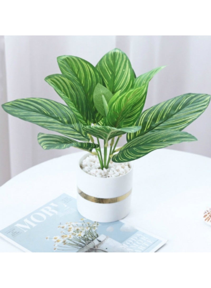 Indoor Calathea Ornata Sanderiana Artifical plant  in Pot