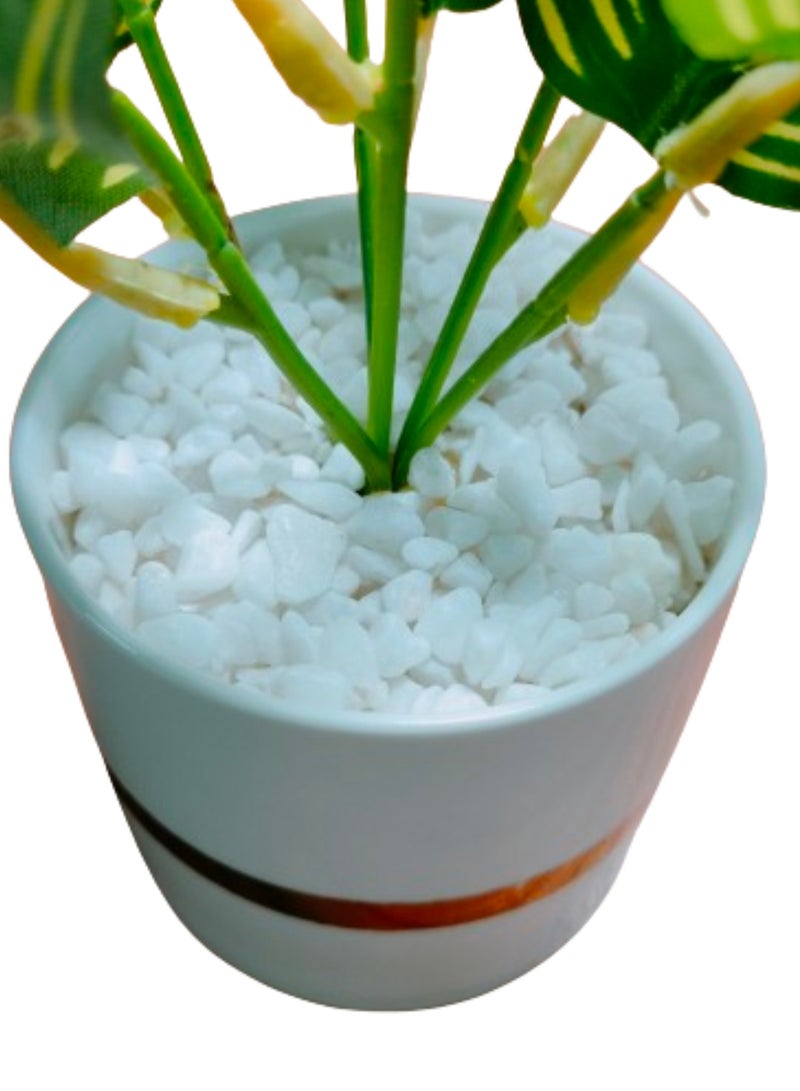 Indoor Calathea Ornata Sanderiana Artifical plant  in Pot