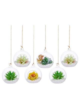 6 Pcs Hanging Glass Globes Planter Big Opening Air Fern Plants Vase Hanger Multicolour 6x10cm