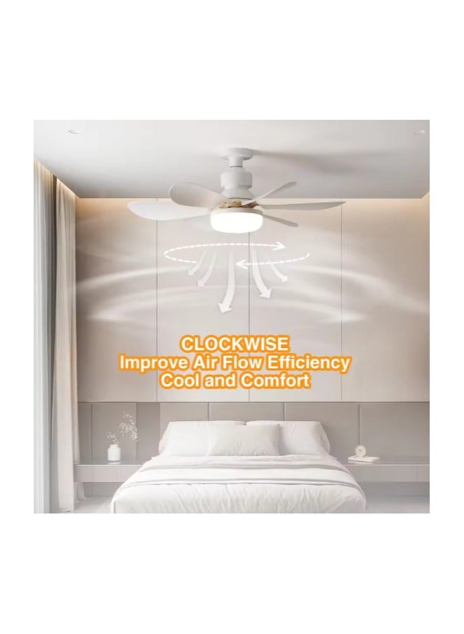 MODI Small Ceiling Fan Light with Remote – 30W LED Dimmable Fan Lamp | 3 Color Modes (3000K/4000K/6500K), Modern Low Profile Ceiling Light for Bedroom, Kitchen, Office – Quiet Motor, White