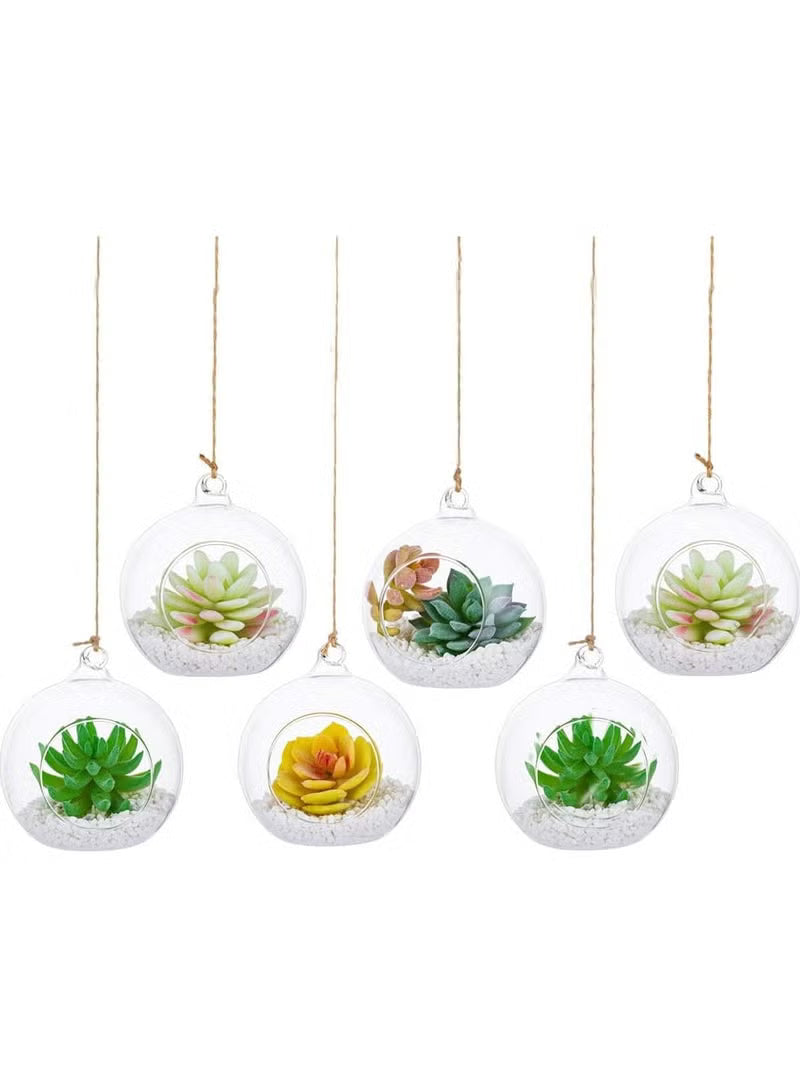 6 Pcs Hanging Glass Globes Planter Big Opening Air Fern Plants Vase Hanger Multicolour 6x10cm