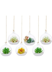 6 Pcs Hanging Glass Globes Planter Big Opening Air Fern Plants Vase Hanger Multicolour 6x10cm