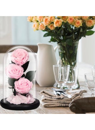 Luxury Preserved Pink Roses in Glass Dome – Real Eternal Flowers with Gift Box for Valentine’s Day, Birthday & Special Occasions